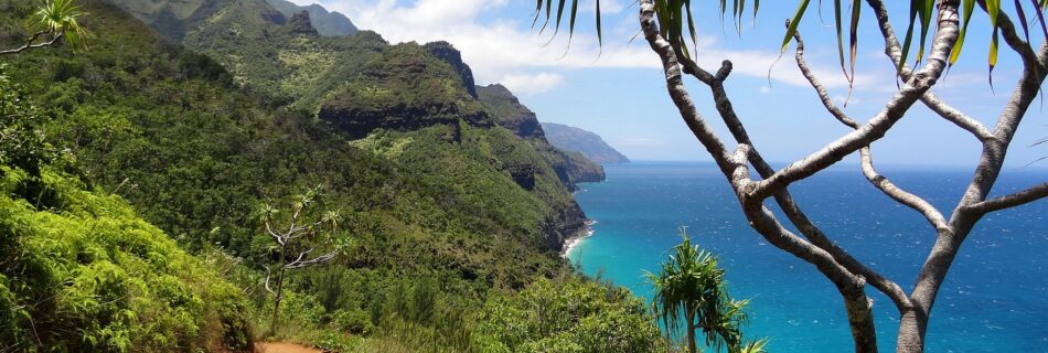 Create the perfect Hawaiian Dream Home