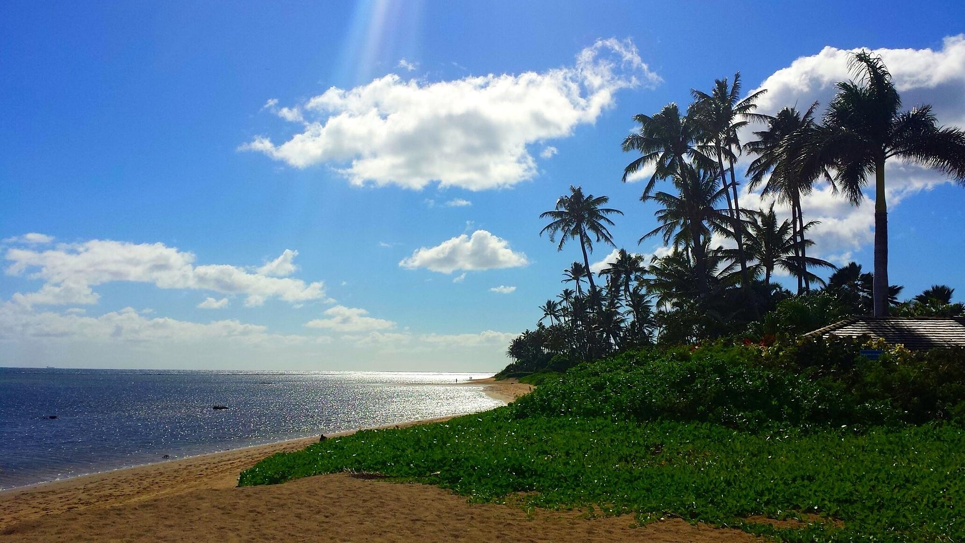 Different Types of Hawaiian Beaches for Hawaiian Home Buyers